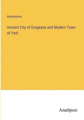bokomslag Ancient City of Gorgeana and Modern Town of York