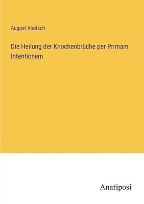 bokomslag Heilung der Knochenbrüche per Primam Intentionem