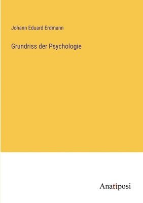 bokomslag Grundriss der Psychologie