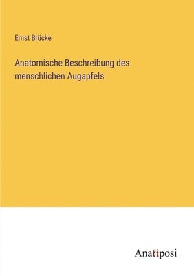 bokomslag Anatomische Beschreibung des menschlichen Augapfels