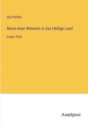 bokomslag Reise einer Wienerin in das Heilige Land