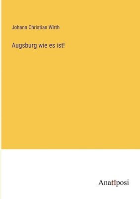 bokomslag Augsburg wie es ist!