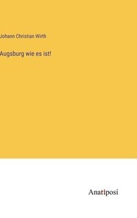 bokomslag Augsburg wie es ist!