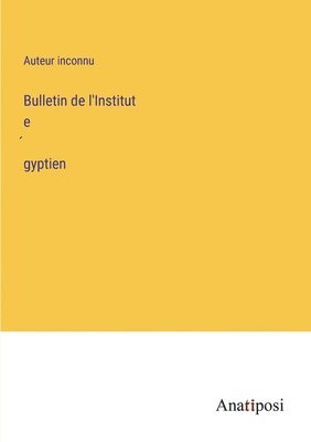 bokomslag Bulletin de l'Institut e?gyptien