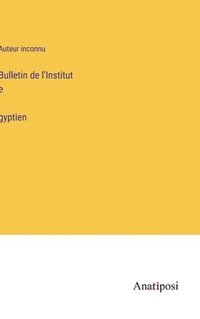 bokomslag Bulletin de l'Institut e?gyptien