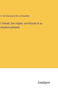 bokomslag L'Irlande; Son origine, son histoire et sa situation prsente