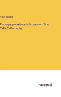 bokomslag Chronique protestante de l'Angoumois XVIe, XVIIe, XVIIIe sicles