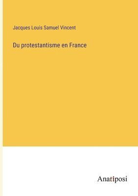 bokomslag Du protestantisme en France