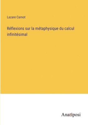 Réflexions sur la métaphysique du calcul infinitésimal