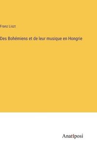 bokomslag Des Bohmiens et de leur musique en Hongrie