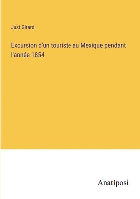 bokomslag Excursion d'un touriste au Mexique pendant l'année 1854