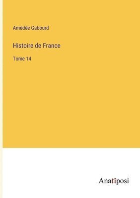 bokomslag Histoire de France