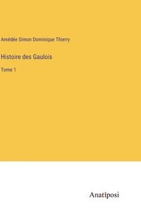 bokomslag Histoire des Gaulois