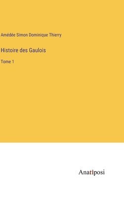 bokomslag Histoire des Gaulois