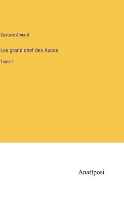 bokomslag Les grand chef des Aucas