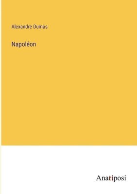 bokomslag Napoléon