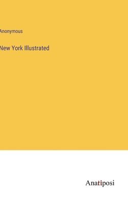 New York Illustrated 1