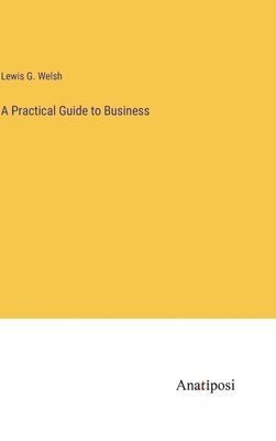 bokomslag A Practical Guide to Business