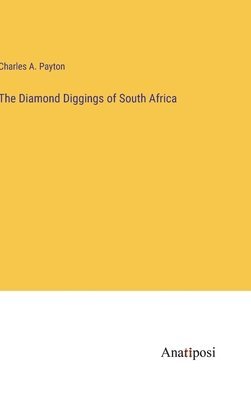 bokomslag The Diamond Diggings of South Africa