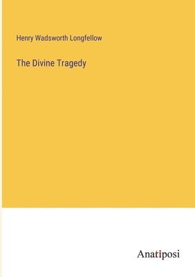bokomslag Divine Tragedy