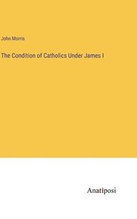 bokomslag Condition of Catholics Under James I
