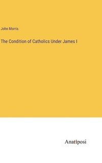 bokomslag The Condition of Catholics Under James I