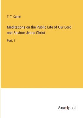 T T Carter, T. T. Carter - Meditations on the Public Life of Our Lord and Saviour Jesus Christ, Häftad