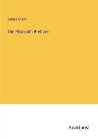 bokomslag The Plymouth Brethren