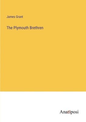 bokomslag Plymouth Brethren