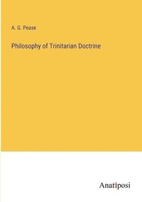 bokomslag Philosophy of Trinitarian Doctrine