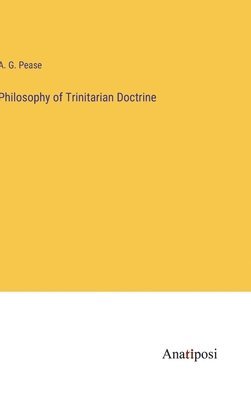 bokomslag Philosophy of Trinitarian Doctrine