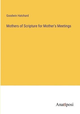 bokomslag Mothers of Scripture for Mother's Meetings