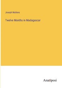bokomslag Twelve Months in Madagascar