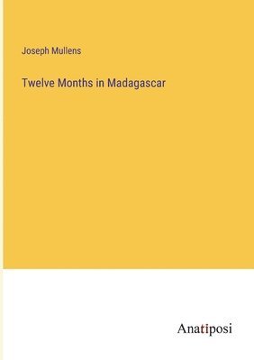 bokomslag Twelve Months in Madagascar