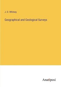 bokomslag Geographical and Geological Surveys