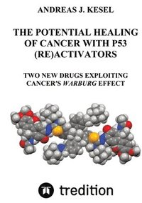 bokomslag THE POTENTIAL HEALING OF CANCER WITH P53 (RE)ACTIVATORS
