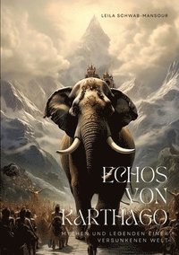 bokomslag Echos von Karthago