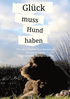 bokomslag Glück muss Hund haben