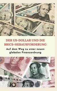 bokomslag Der US-Dollar & die BRICS-Herausforderung: Auf dem Weg zu einer neuen globalen Finanzordnung