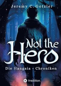 bokomslag Not the Hero - Der erste Band der Hangaia-Chroniken: Humorvoller Highfantasyroman mit Dämonen und Magie mit wunderschönen Illustrationen