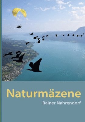 bokomslag Naturmäzene: Stifter, Spender, Sponsoren für den Schutz der Natur Ein Naturreise- und ein Naturerlebnisbuch mit Videos