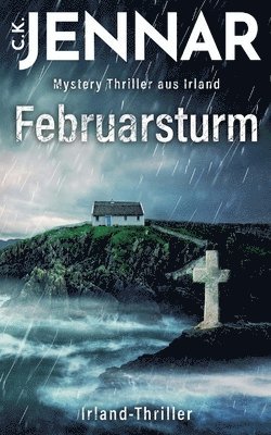 Februarsturm: Ein mystischer Thriller aus Irland 1