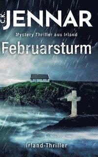 bokomslag Februarsturm: Ein mystischer Thriller aus Irland