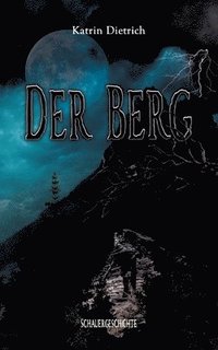 bokomslag Berg