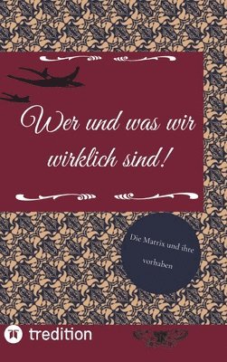 Wer und was wir wirklich sind!: Die Matrix und ihre vorhaben 1