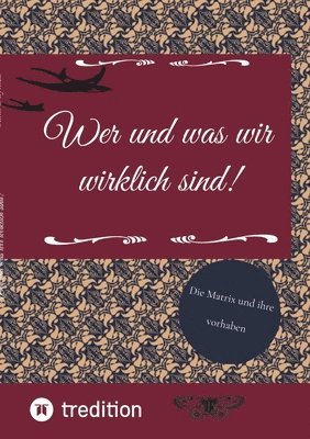 Wer und was wir wirklich sind!: Die Matrix und ihre vorhaben 1