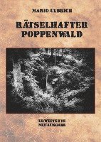 bokomslag Rätselhafter Poppenwald. Eine Expedition auf den Spuren des verschollenen Bernsteinzimmers