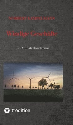 bokomslag Windige Geschäfte - Eine Kriminalgeschichte rund um das Thema Windkraft: Ein Münsterlandkrimi - spielt in Warendorf und Sassenberg