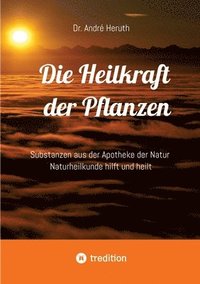 bokomslag Die Heilkraft der Pflanzen: Substanzen aus der Apotheke der Natur Naturheilkunde hilft und heilt