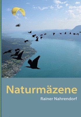 bokomslag Naturmäzene